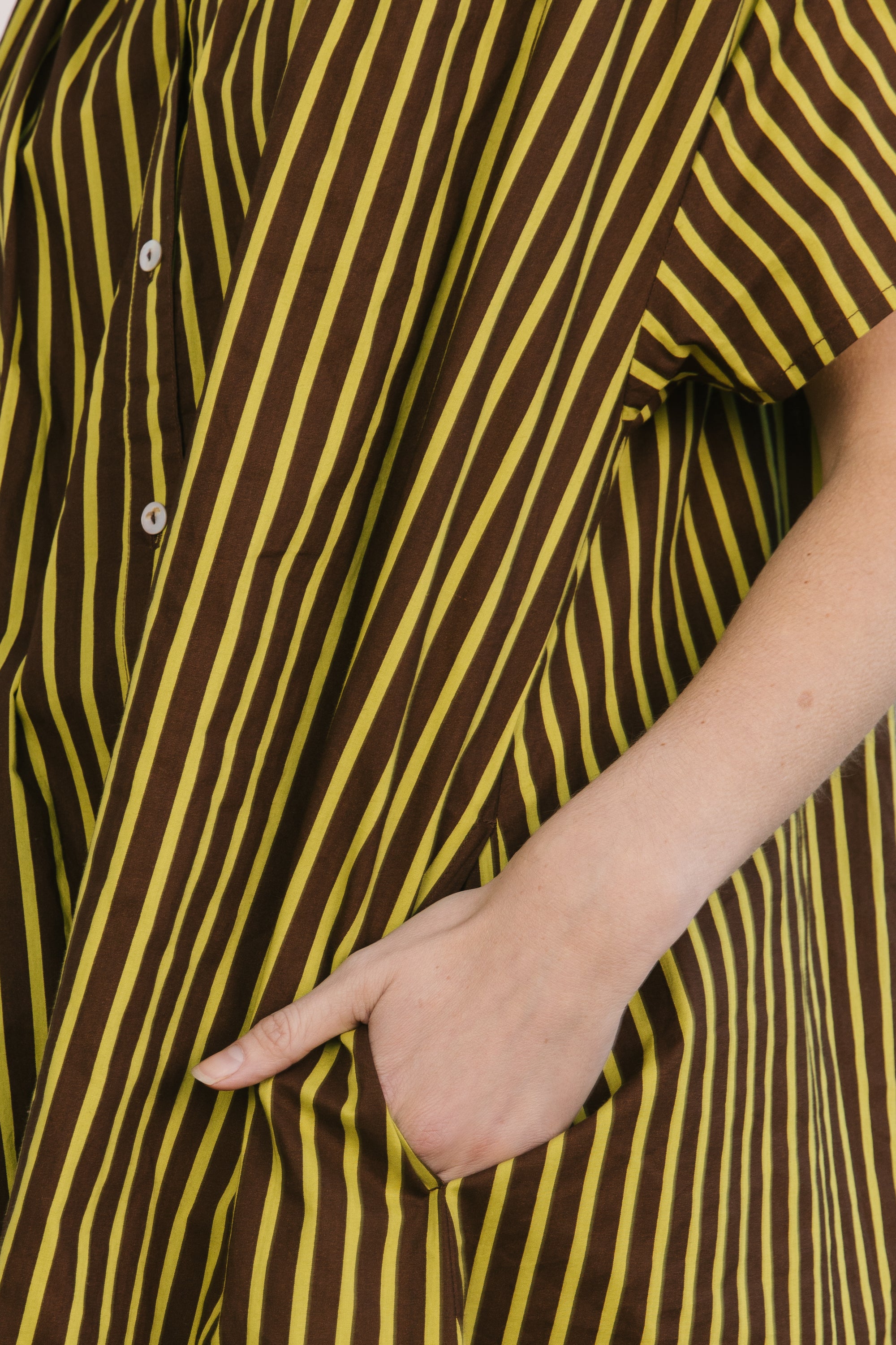 coco popover sprout stripe