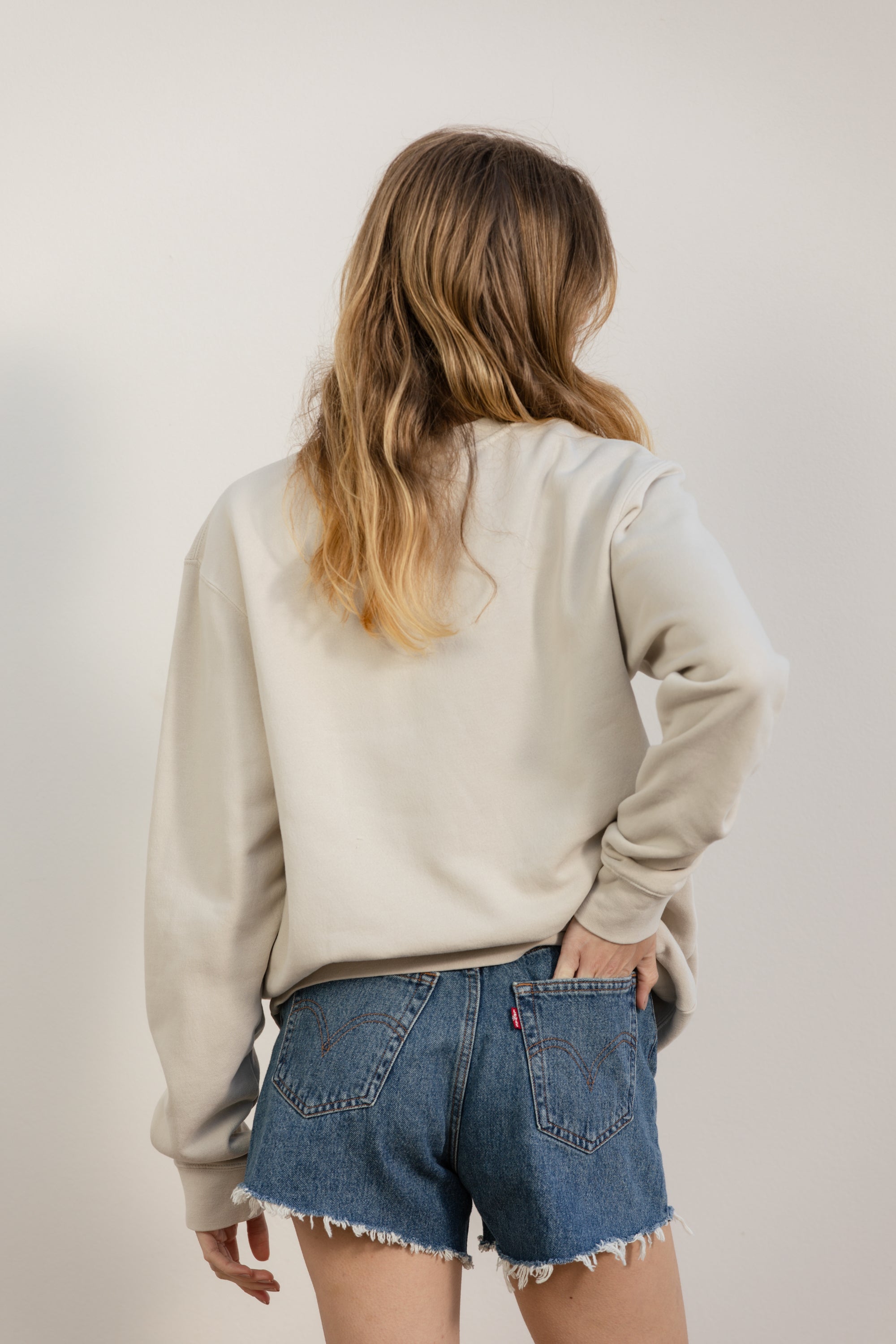Sweatshirt-Dune