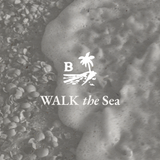 Candle - Walk The Sea