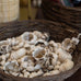 palm ivory natural