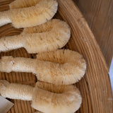 sisal body brush