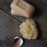 vetiver big bar
