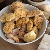 wool sponge