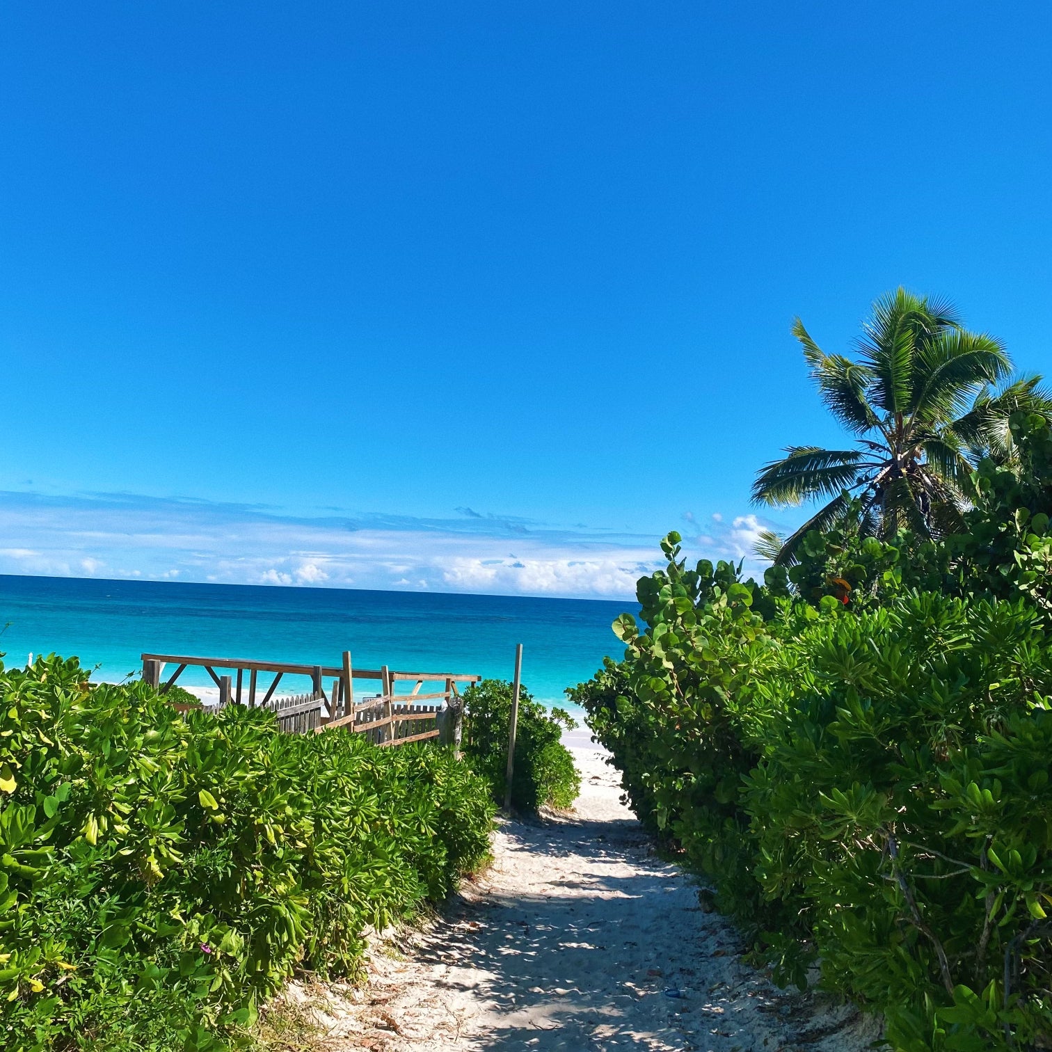 Our Guide to Harbour Island, Bahamas