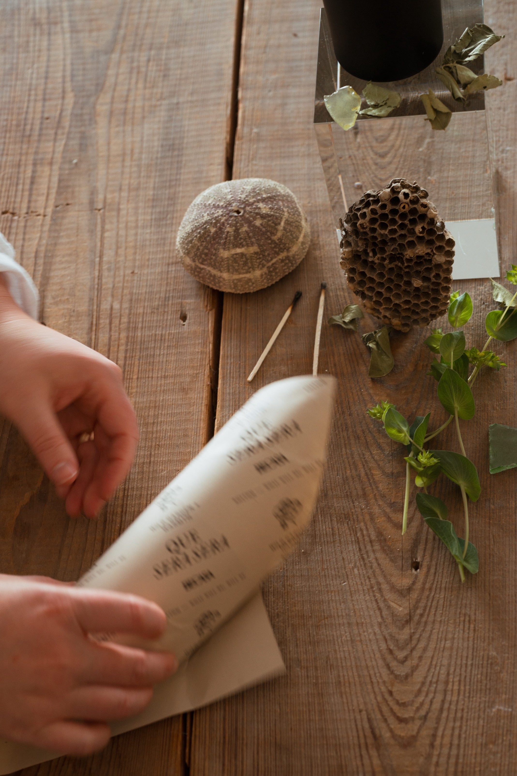 Candle - Que Sera Sera