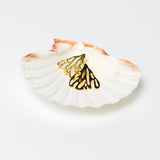 English scallop