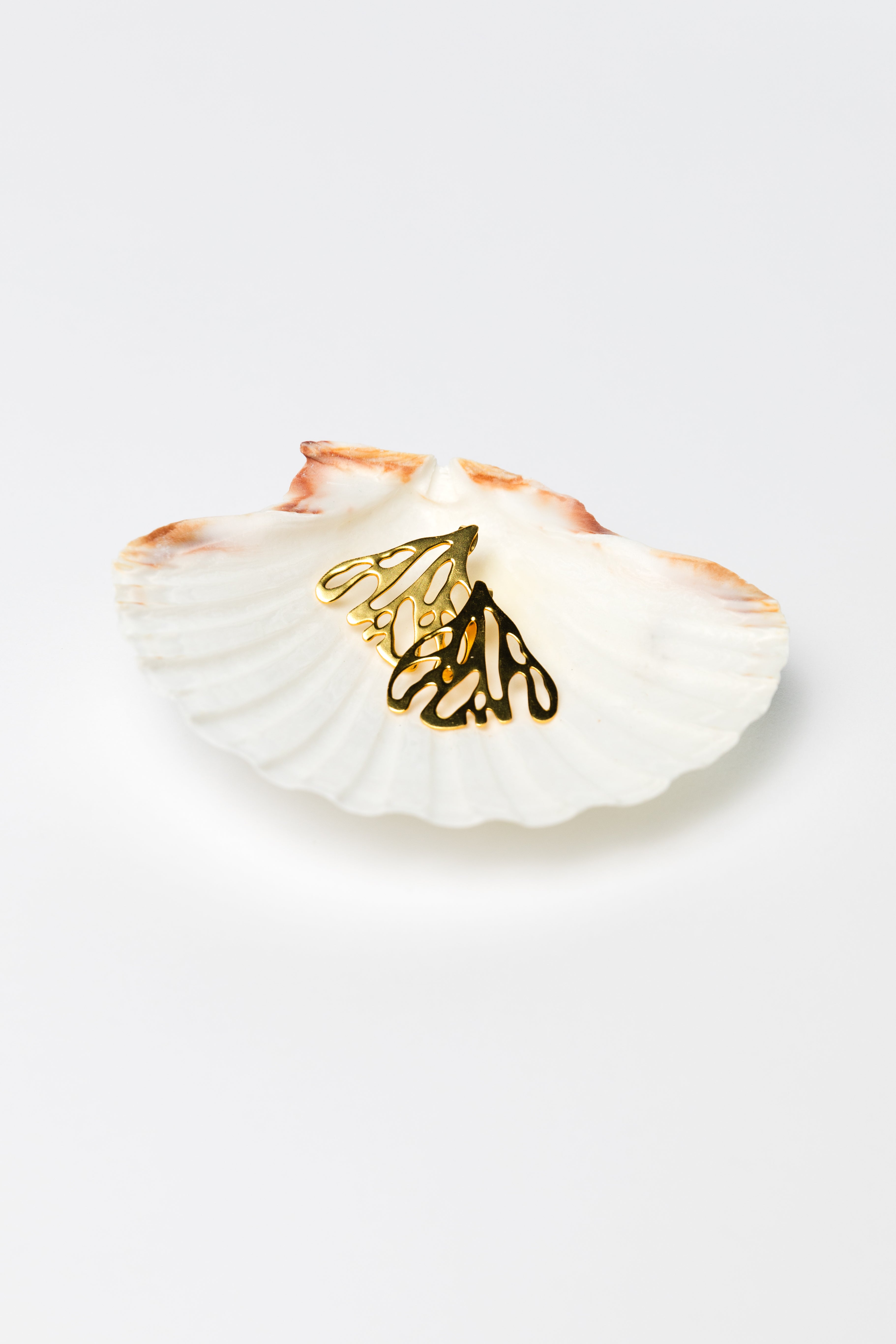 English scallop