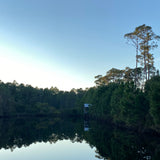 BECASA & Turtle Pond present: A Twilight Lantern Supper