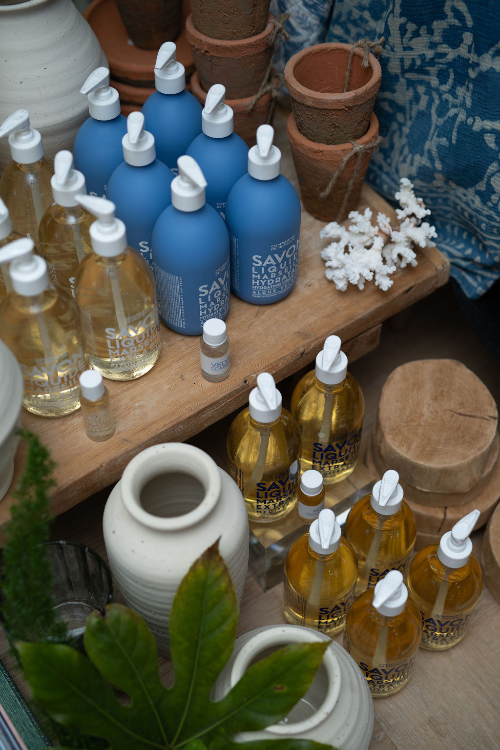 Marseille bottles on a wooden surface with pots and plants.