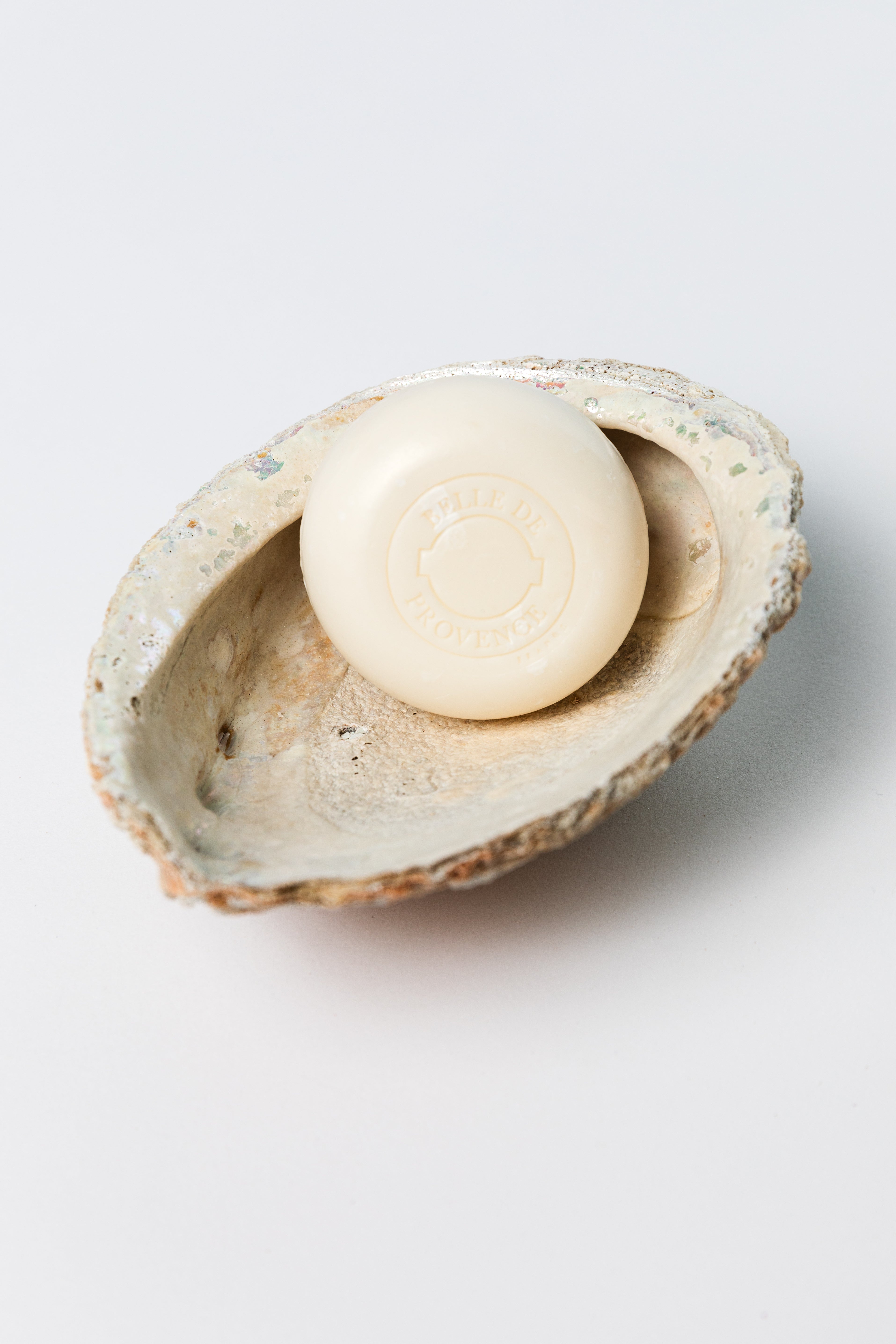 abalone shell