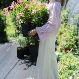 Sail Button-Up - Pink Salt Flora