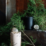 Candle - December