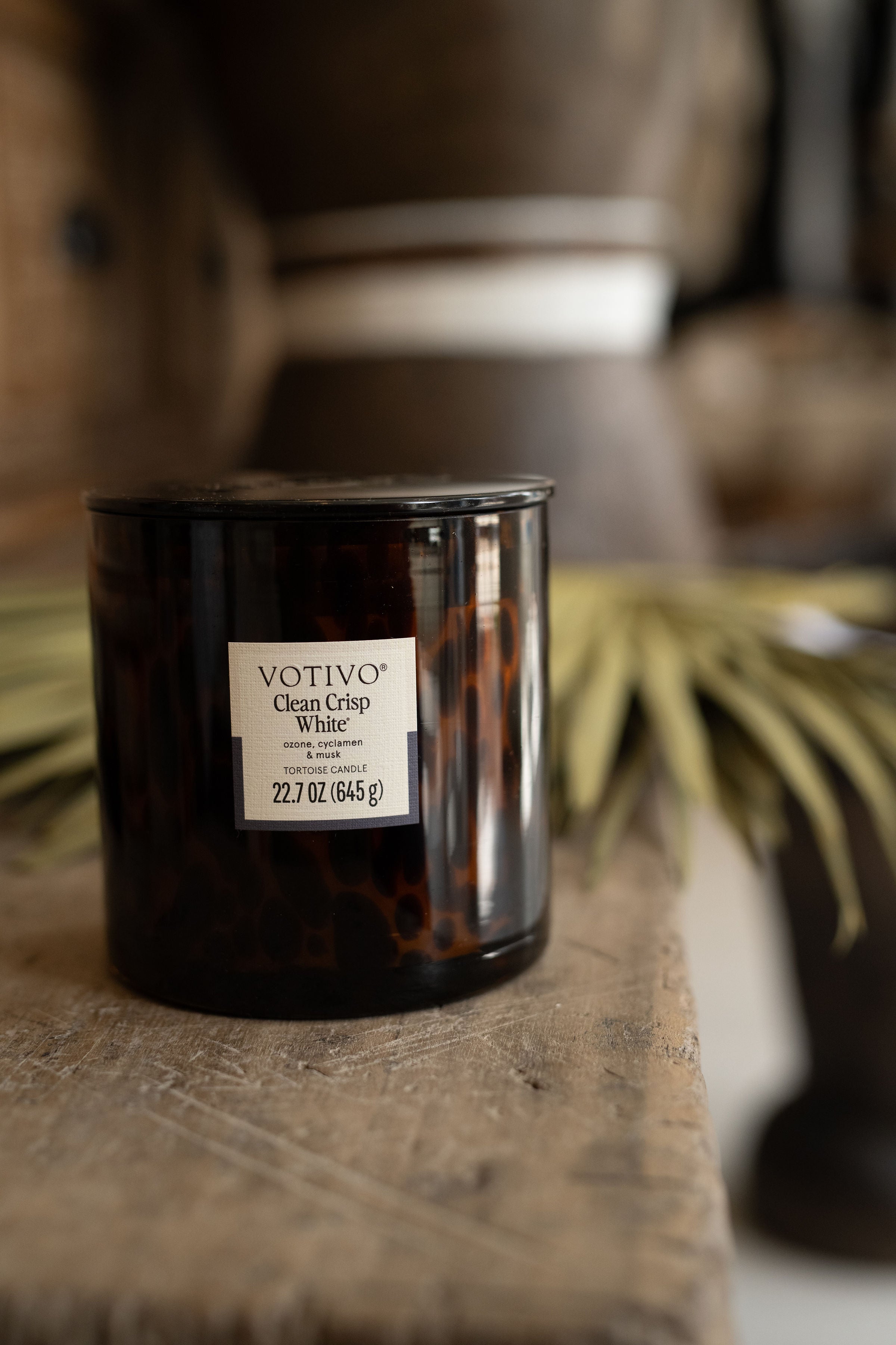 clean crisp white tort candle