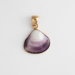 closeup shell charm