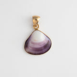 closeup shell charm