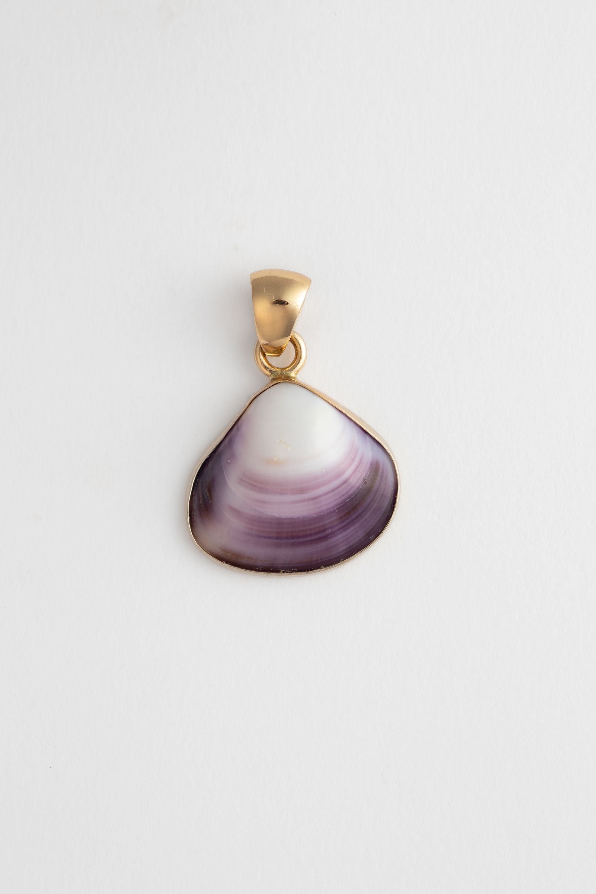 closeup shell charm