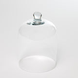 Glass Cloche