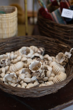 palm ivory natural