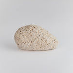 pumice stone