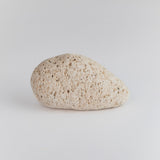 pumice stone