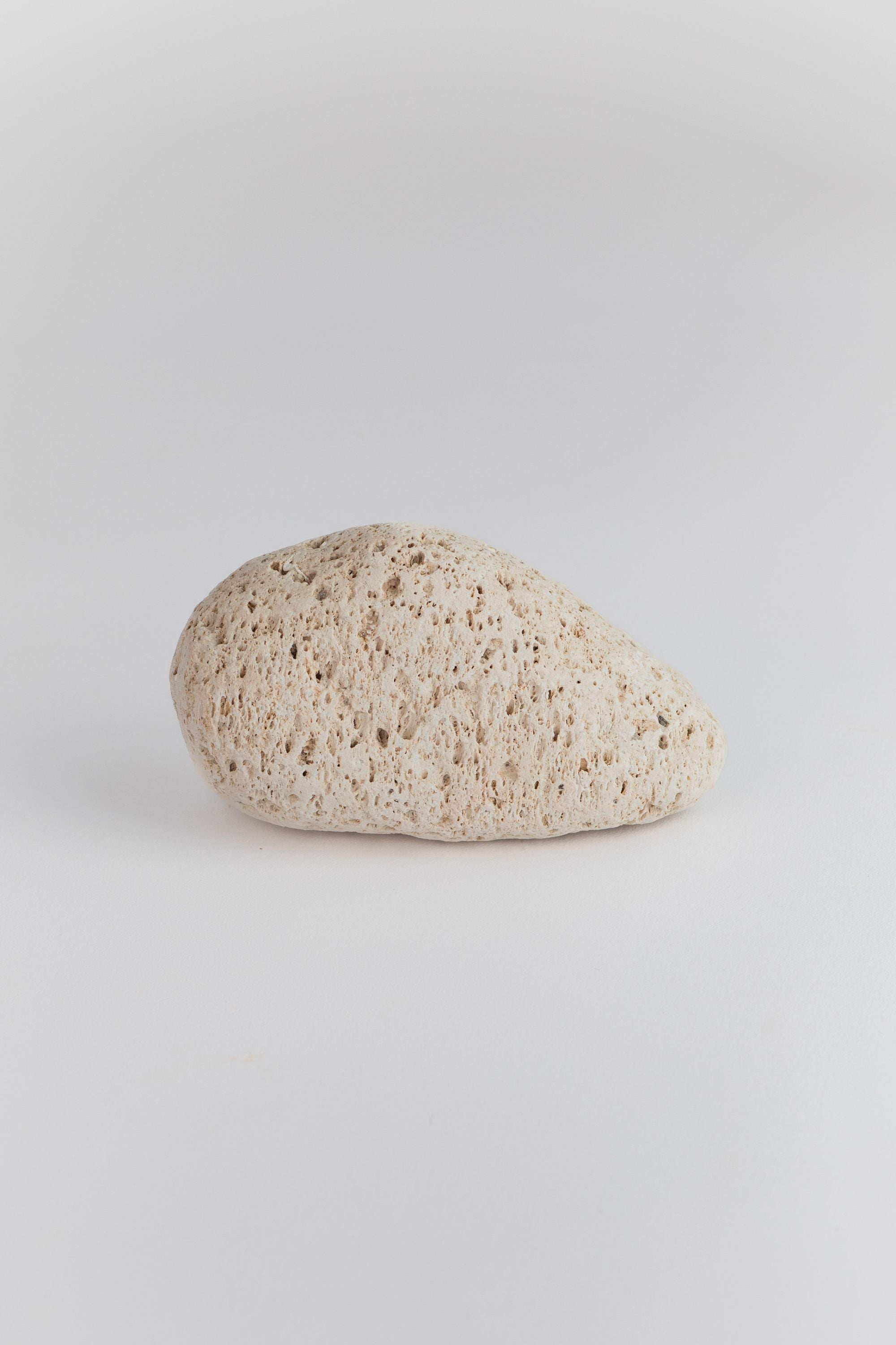 pumice stone