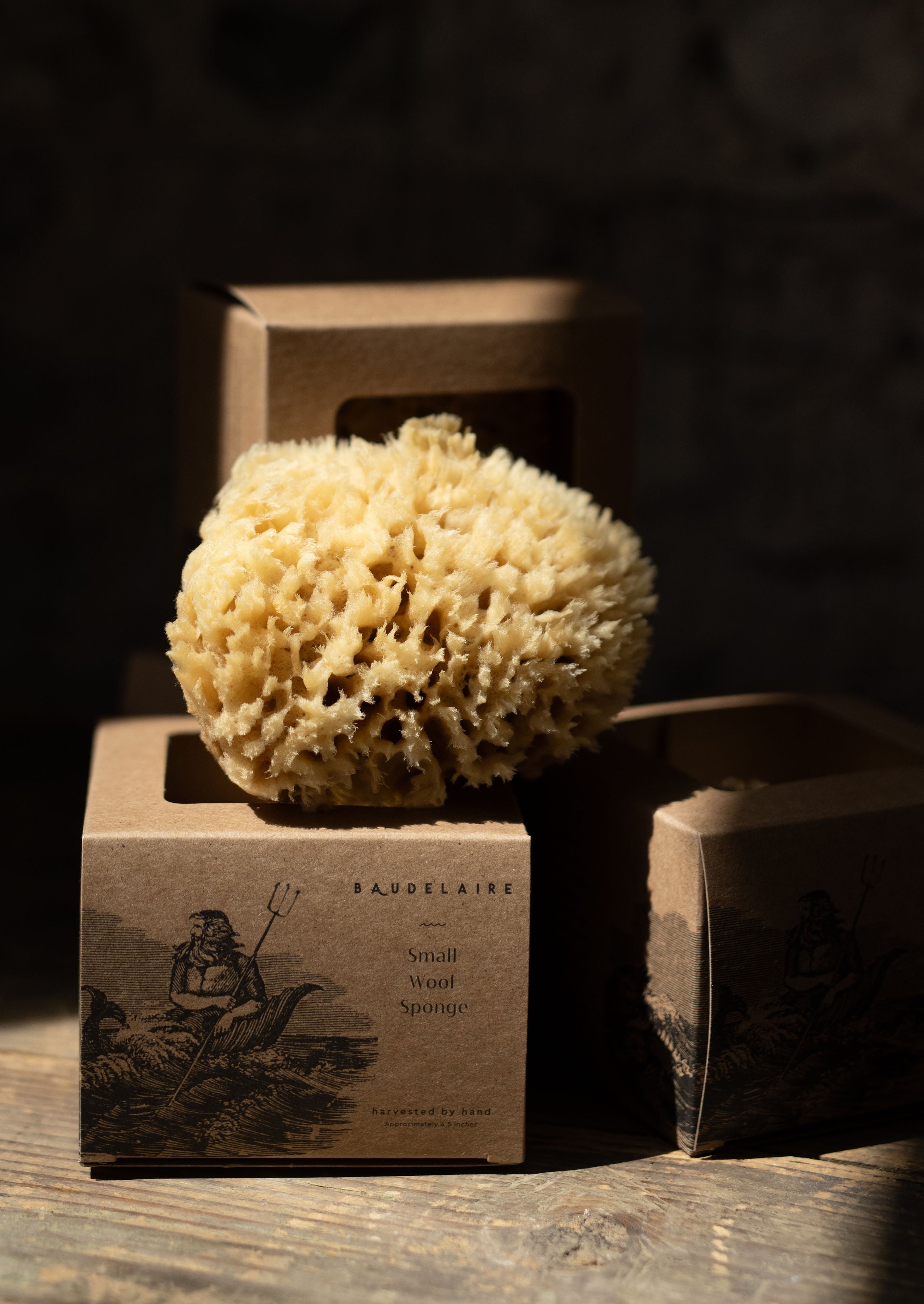 sea sponge gift box