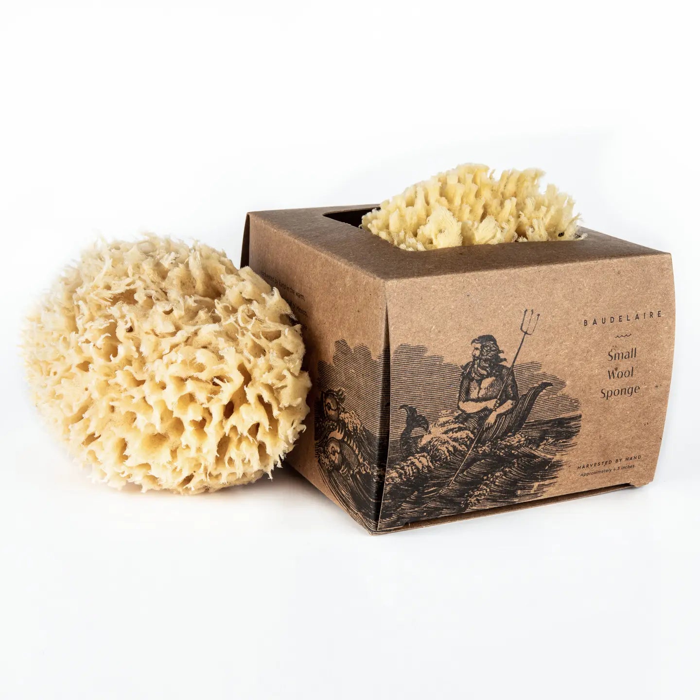 sea sponge gift box