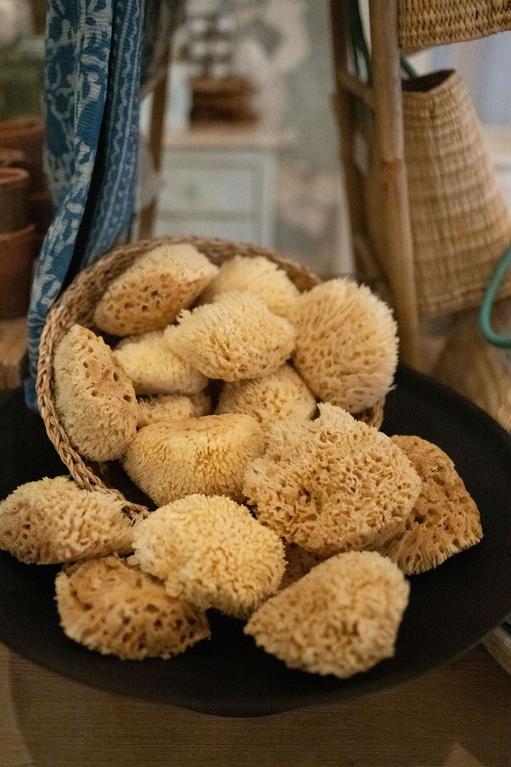 Wool Sea Sponge