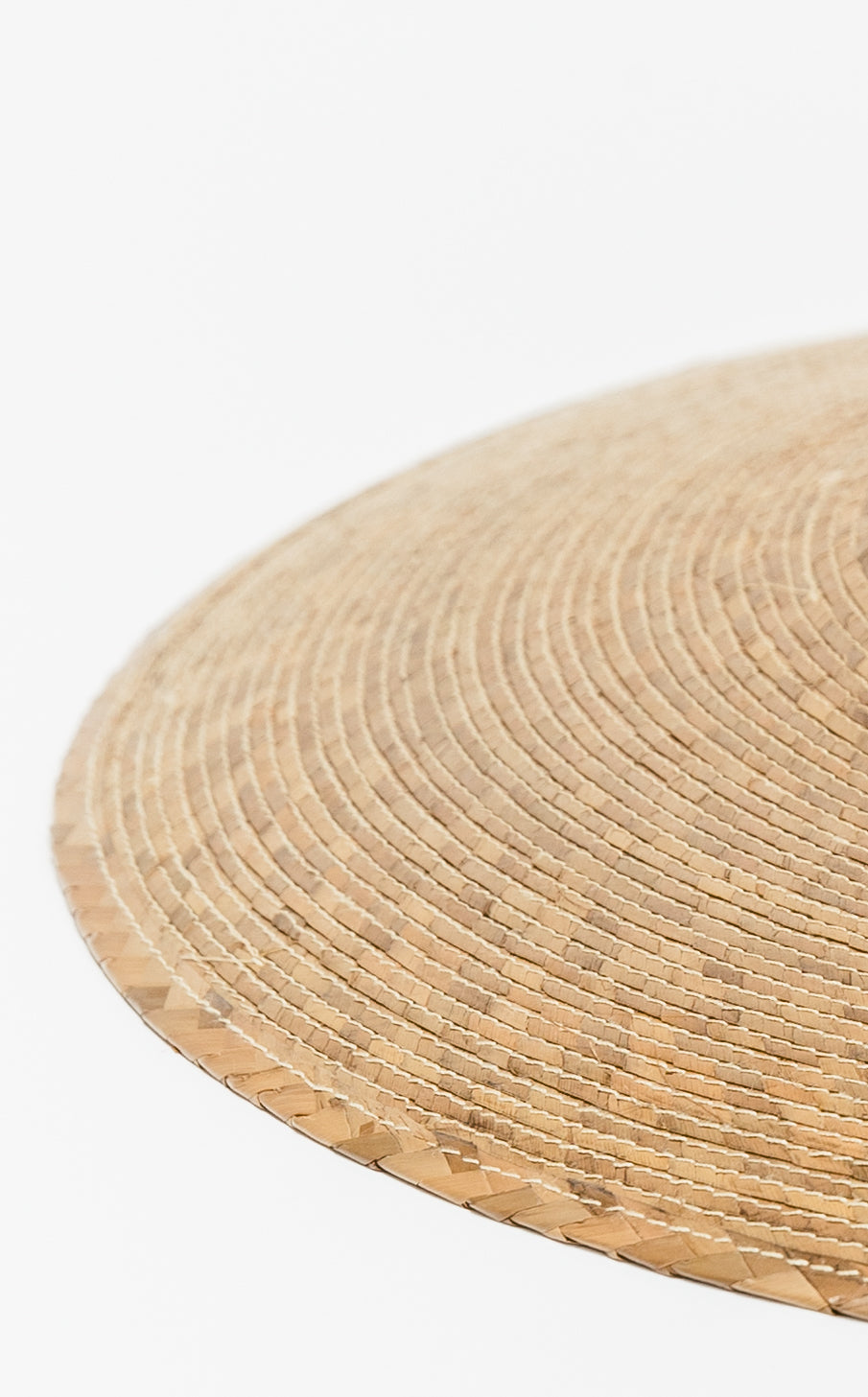Light Palm